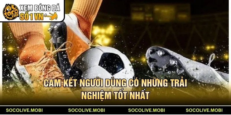 Cam kết người dùng có những trải nghiệm tốt nhất