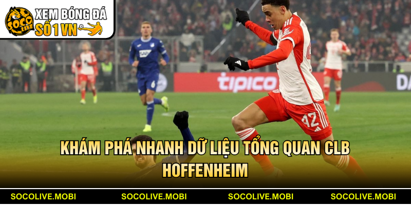 Khám phá nhanh dữ liệu tổng quan CLB Hoffenheim