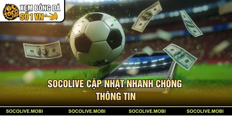 Về chúng tôi - Socolive cập nhật nhanh chóng thông tin